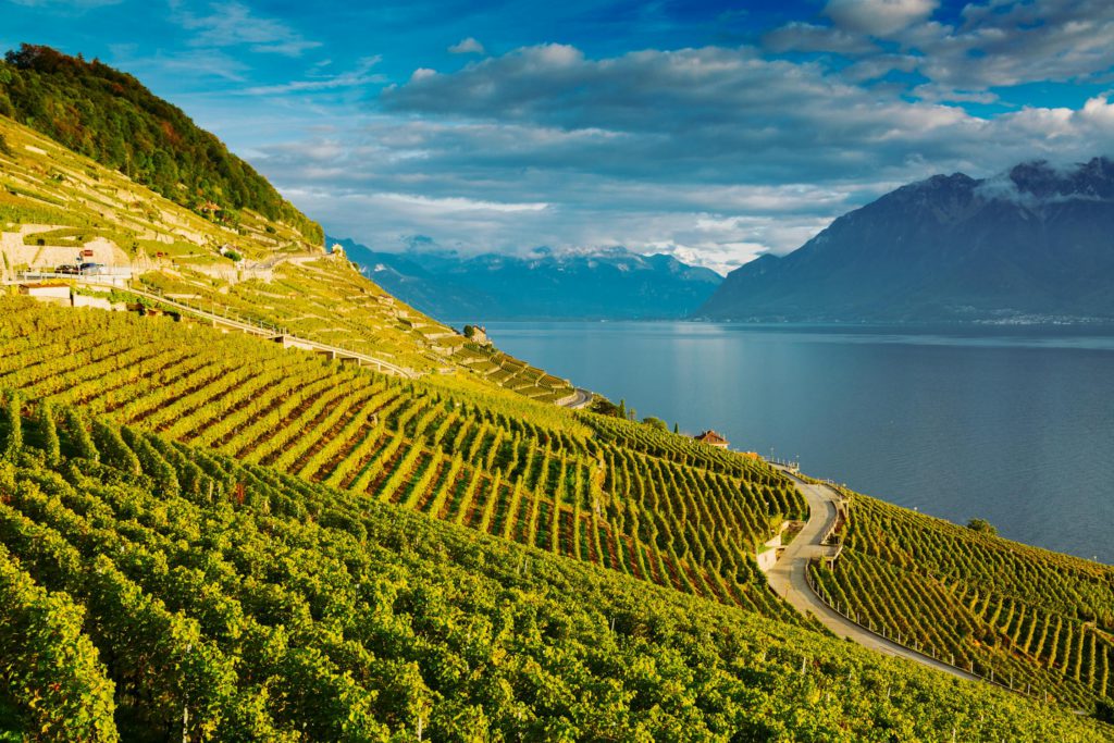 Lake Geneva, the Field Near the Lake