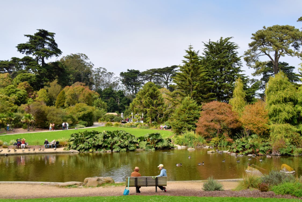 People Sitting on a Wooden Bench Near the Lake
